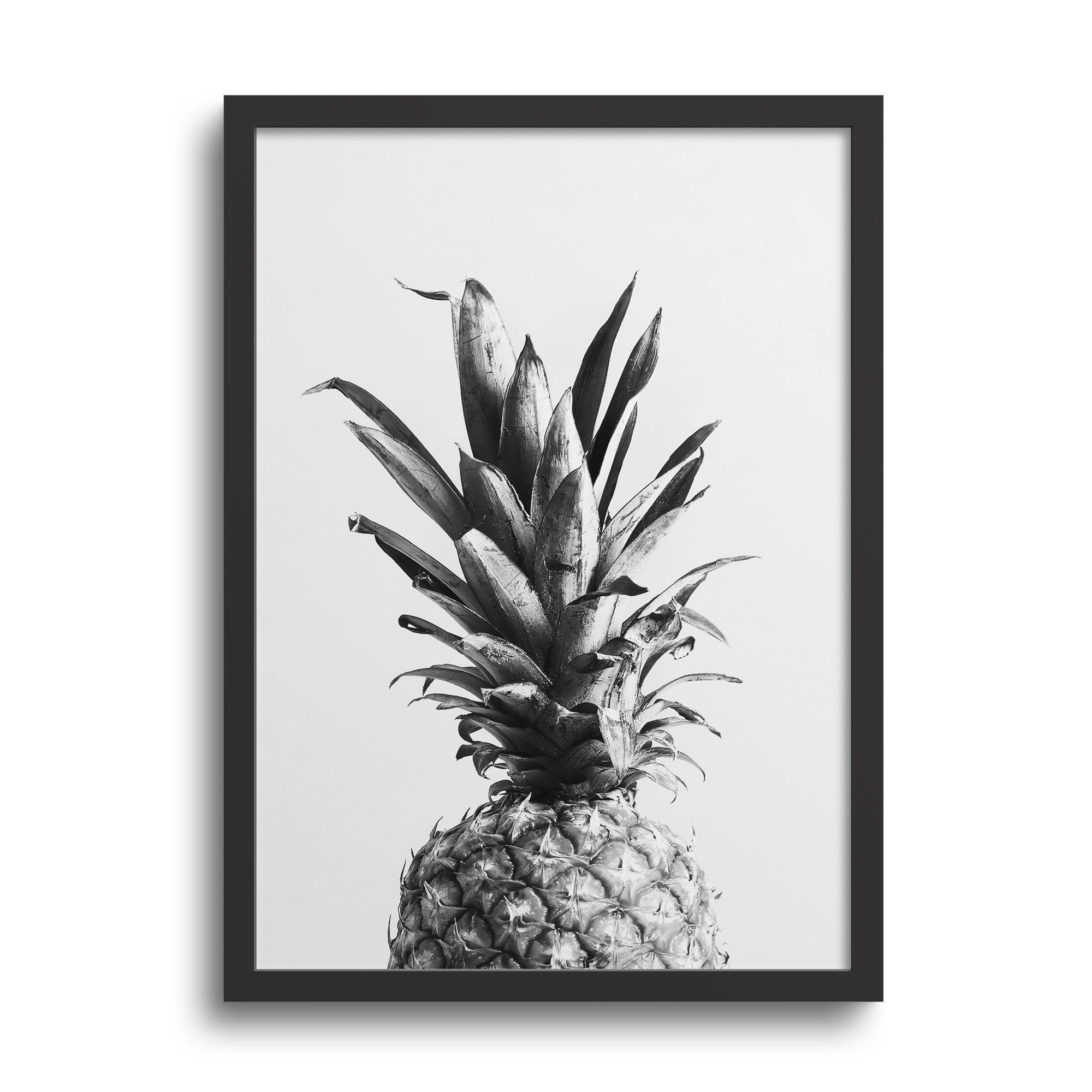 Fotografía piña a blanco y negro – deepgallery